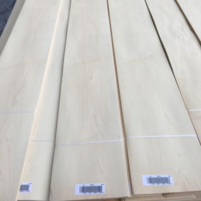 China Hot Selling Natural Canadian Maple Wood Veneer Maple Veneer Sheets for Skateboards Wooden Maple Veneers for sale