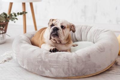 China Beruhigendes Donut-Cat Bed Covered Dog Bed-Angst-Hundematratzen-Bett des Hundebett-80cm 100cm zu verkaufen