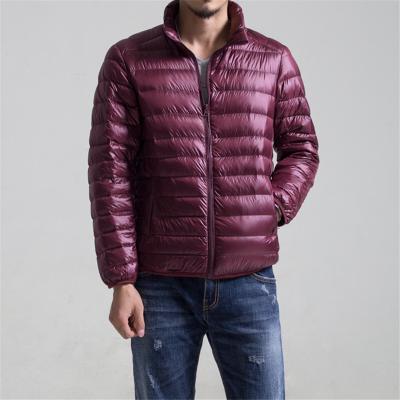 China Breathable LIKE Men Fashion Casual Lightweight Plus Size Down Jacket for sale