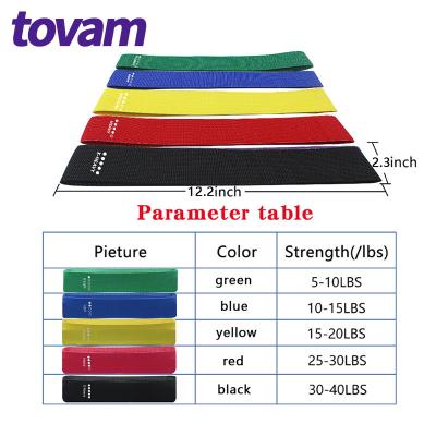 China Polyester + Latex Yarn Customized Loop Resistance Band Hip Resistance Band Exercise Bands for sale