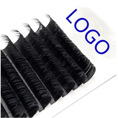 China Long Lash Extensions Volume Natural Soft Individual Eyelash Extension Russian Private Label 15mm 18mm 20mm 22mm 25mm for sale