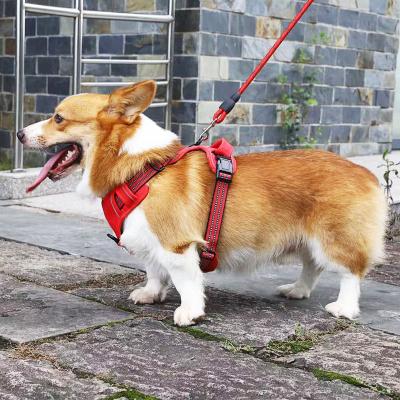 China 2021 Personalized Amazon Dog Leash Best-Selling Breathable Accessories, Comfortable And Convenient Pet Accessories With Thoughtful Handles Dog Harness for sale