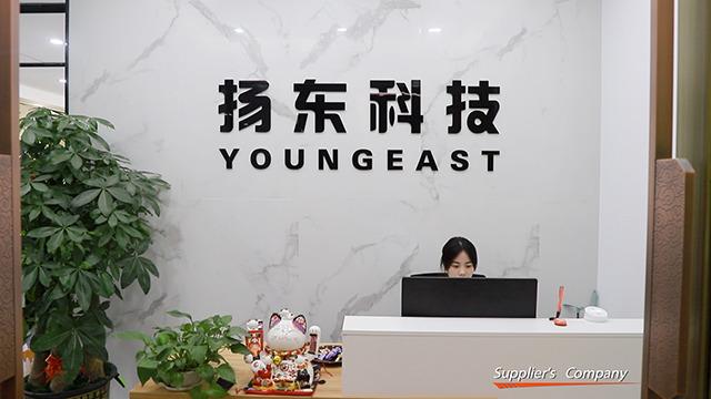 Verified China supplier - Shenzhen Youngeast Technology Co., Ltd.