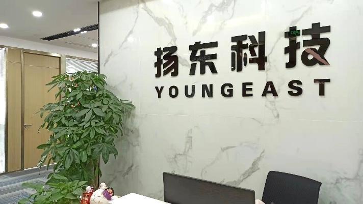 Verified China supplier - Shenzhen Youngeast Technology Co., Ltd.