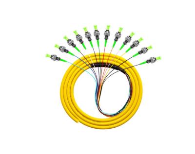 China Use in 3M Long 12 Core Singlemode Fiber Optic Jumper Pigtail Patch Panel for Telecommunication Network for sale