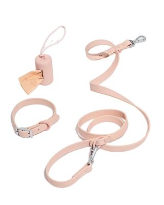 China Quick Release Wholesales Waterproof Custom Nylon PVC Coated Webbing Dog Collar Leash for sale