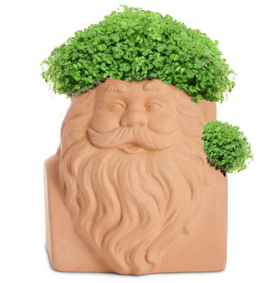 China American Style Jonah Hill Superbad Chia Decorative Pottery Planter - Chia Seeds Included - Plant & Grow Santa's Beard for sale