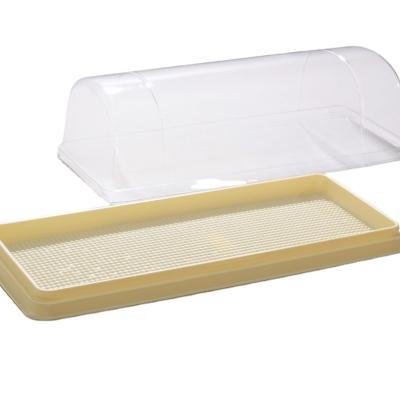 China Taiwan Recycled Materials Log Plastic Cake Container With Clear Lid for sale