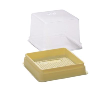 China Recycled Materials Taiwan Slice Cake Single Cake Container Plastic Container With Clear Lid for sale