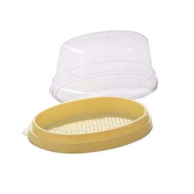 China Recycled Materials Taiwan Slice Cake Single Cake Container Plastic Container With Clear Lid for sale