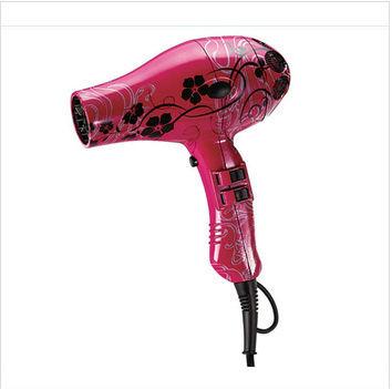 China Watertransfer Ionic Professional Salon Hair Dryer Compact Salon for sale