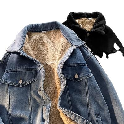 China Sustainable Denim Jacket Winter Fleece Thickened Lapels Lambswool Upper Mens Cotton Warm Jacket Jacket for sale