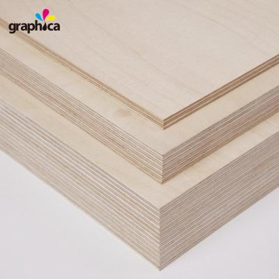 Cina 12mm 15mm 18mm Normal Birch and Poplar Plywood Wood Board for Die Making Core Gap 0,1% in vendita