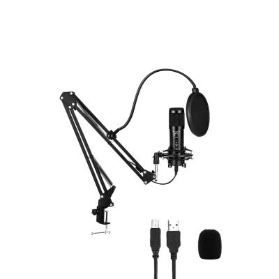 China Handheld Mount Handheld Microphone Shock Interpretation Microphone Wireless Condenser Microphone with Stand for sale