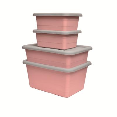 China Good Quality Plastic Plastic Storage Boxes with Lid Molds for Storage Large Size Clothes Storage Boxes/Case Molds for sale