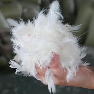 China Pillow 24cm Small White Duck Feather For Filling Duck Feather Pillow for sale