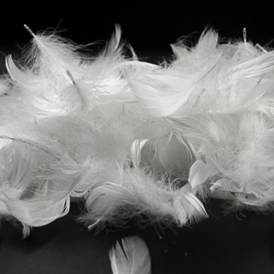 China Filling Material Hot Selling Washed White 2-4CM Duck Feather for sale