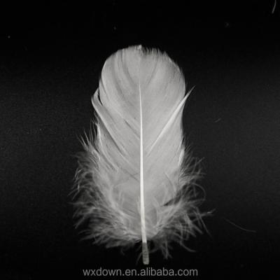 China Washed and cleaned provided by Chinese supplier washed white duck feather for sale