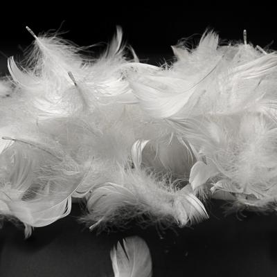 China New Washed And Cleaned Promotional Feather Mallard Goose Feathers for sale