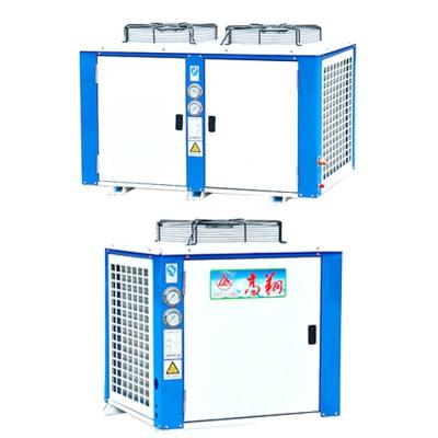 China Professional Cold Storage Room Freezer Room Manufacturer Hermetic Air Cooled Units Air Cooled Condensing Unit for sale