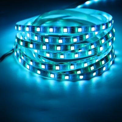 China Waterproof led LANDSCAPE strip light color changing 5050 RGB outdoor led strip light with remote controller led strip light for sale