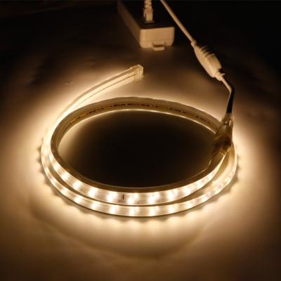 China IP65 220v waterproof garden led light strip high voltage smd2835 led lamp strip single color led soft flex light strip for sale