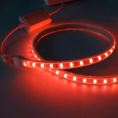 China LANDSCAPE high voltage dimmable flexible rope ip65 waterproof indoor lights 220v led strip 5050 smd rgb light for sale