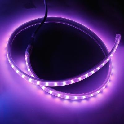 China High Voltage Flexible Strip 60/Meter LANDSCAPE LED Strip Led Light 5050 RGB Led Strip Light With 24 Core IR Remote for sale