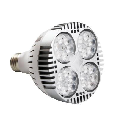 China Best Selling Led Bulbs Industrial Aluminum Led Bulb Lights PRA 30 High Brightness 35W Spotlight for sale