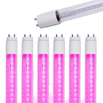 China Seed starting 4 8ft 9w 12w 18w 22w 45w full spectrum led T8 grow light plant grow t8 led tube light for sale