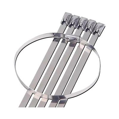 China Meishuo Factory Wholesale Strong Strength Stensile CX Tooth Type Buckle Stainless Steel Cable Ties For Outdoor Use for sale