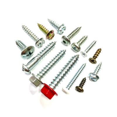 China Various Head Pan Styles Sheet Metal Screws Self Tapping Screws Taiwan for sale