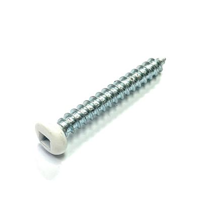 China Head Type AB, Square Pan Recess Pan Head Painted Self Tapping Screws Taiwan for sale