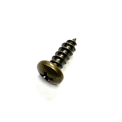 China AB Pan Phillip Pan Head Type Self Tapping Screw Taiwan for sale