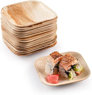 China 10-Piece Set of Palm Leaf Plates for Wedding Dinner Round and Square Disposable Dishes for sale