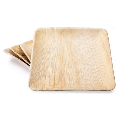 China 6x9 Zoll Palm Leaf Square Party Dinner Platten Öko-freundlich und Geschäftsgeschenke Gelegenheit zu verkaufen