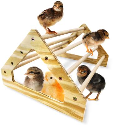 Chine Chick gris Perche forte en bois Jungle Gym Roosting Bar Jouets de poulet pour Coop et Brooder à vendre