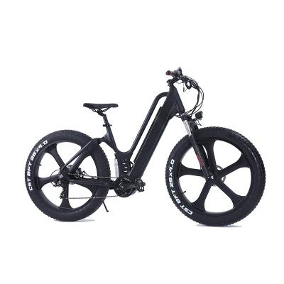 China 48v 500w Multifunctional Brushless Mountain Bike Belt Drive Enduro Dirt Electric Ebike Kit for sale