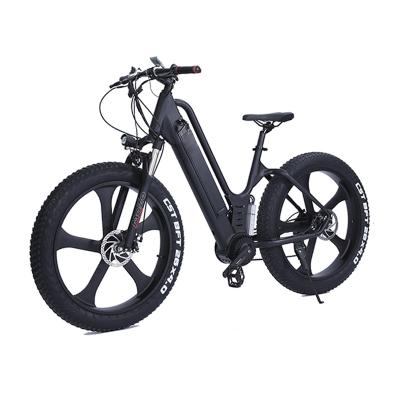 China 48v 500w Multifunctional Brushless Mountain Bike Belt Drive Electric Ebike 8 Speed for sale