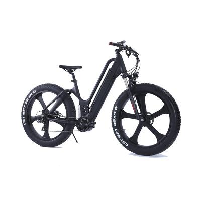 China 8 Speed ​​Mountain E-bike 48v 350w Multifunctional Electric Bike For Adults for sale