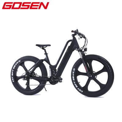 China 2020 new models multifunctional mid drive e bike electric bicycle with 48 volt lithium ion battery for sale