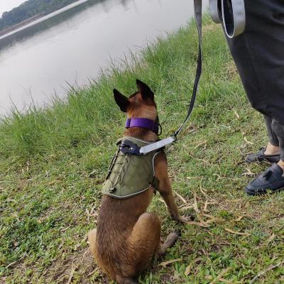 China Durable Customized Mesh Filling Dog Free Vest Luxurious Waterproof Pet Soft Strap for sale