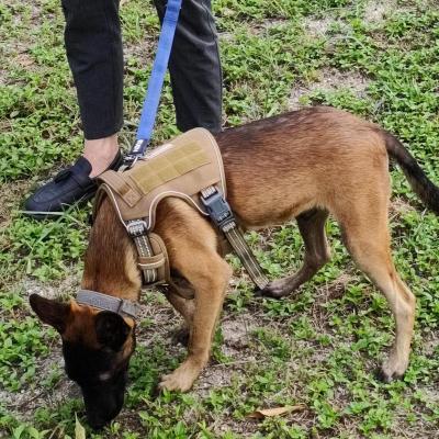 China Viable Wholesale Tactical Reflective Protective Belt Nylon Dog Hunting Harness Vest for sale