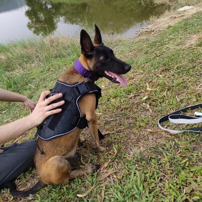 China Viable Customized Tactical Concealment Vest For Dog With Cooling Dog Vest for sale