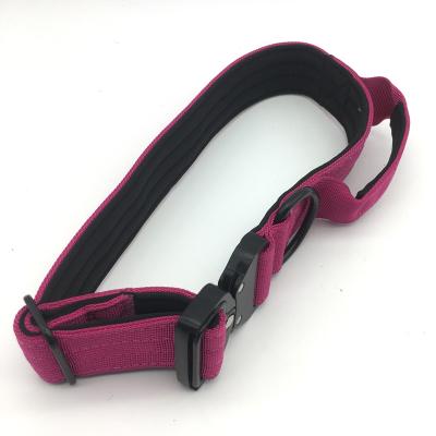 China Charm Designer Waterproof Dog Collar Wholesale Quick Release PVC Logo High Grade Nylon Dog Collar for sale