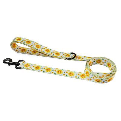 China Custom Nylon Quick Release Dog Collar Paw Print Cat Dog Collar Dog Collar and Leash Set for sale