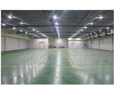 China Container cold storage room cooling room for vegetables meat and fish chicken for sale