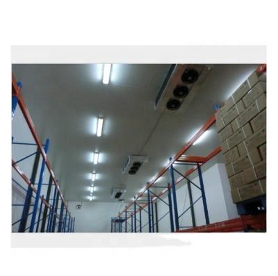 China Small Container Cold Storage Refrigerator Freezer Cold Room Deep Freezer For Fish Meat Fruit for sale