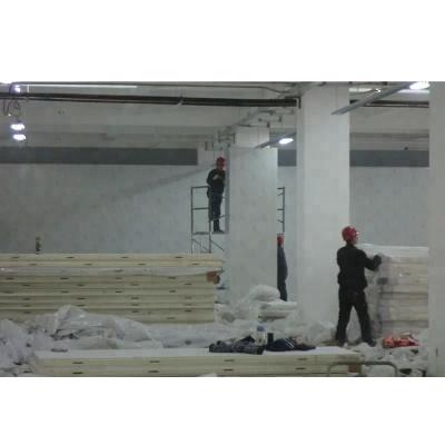 China Container CE Proved High Quality 100mm Insulated Sandwich Panel For Cold Room for sale