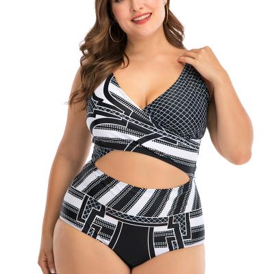 China Plus Size Large Size Fashion Women Large Size Swimwear Cup Swimwear Beach Wear for sale